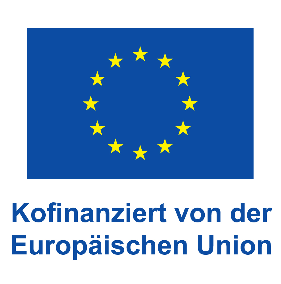 De v kofinanziert von der europäischen union pos