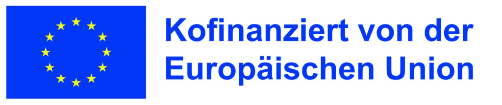 Logo Erasmus Horizontal Bunt